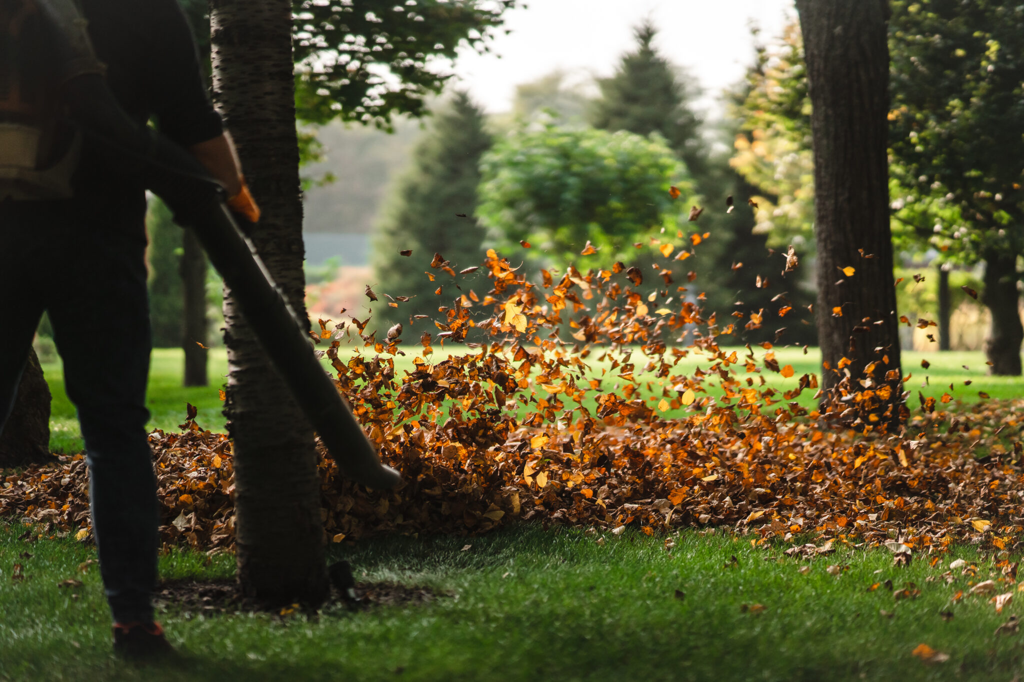 A woman operating a heavy duty leaf blower. Leaves being swirled up